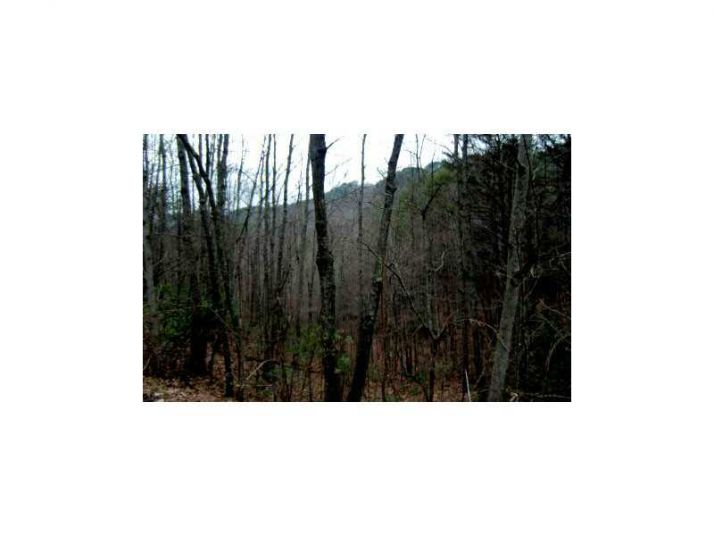 22 Trewit Lane, Turtletown, TN 37391