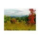 2 Golden Eagle Circle, Turtletown, TN 37391 ID:4699109