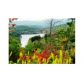2 Golden Eagle Circle, Turtletown, TN 37391 ID:4699111
