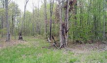 LOT 46 HONEY SPRINGS ROAD Crawford, TN 38554