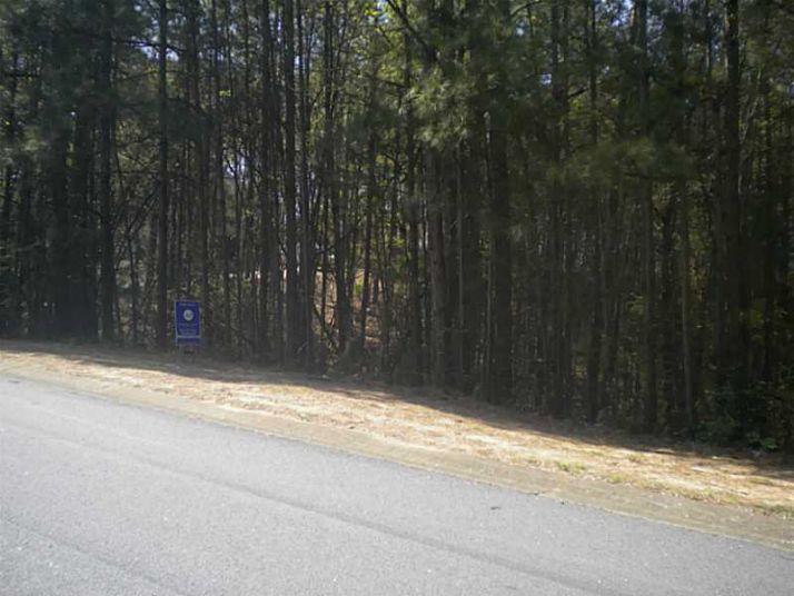 113 Dockside Downs Drive, Woodstock, GA 30189