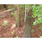 2317 Jones Mountain Road, Talking Rock, GA 30175 ID:2451843