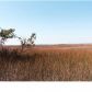 7727 WHITE POINT RD, Hollywood, SC 29449 ID:1091948