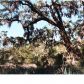 7727 WHITE POINT RD, Hollywood, SC 29449 ID:1091951