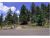 30271 Kings Valley East Conifer, CO 80433