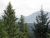 31496 Kings Valley Conifer, CO 80433