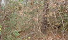 0 Gunter Street Lot#4 Anniston, AL 36206
