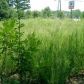 4878 Austell Road, Austell, GA 30106 ID:4704683