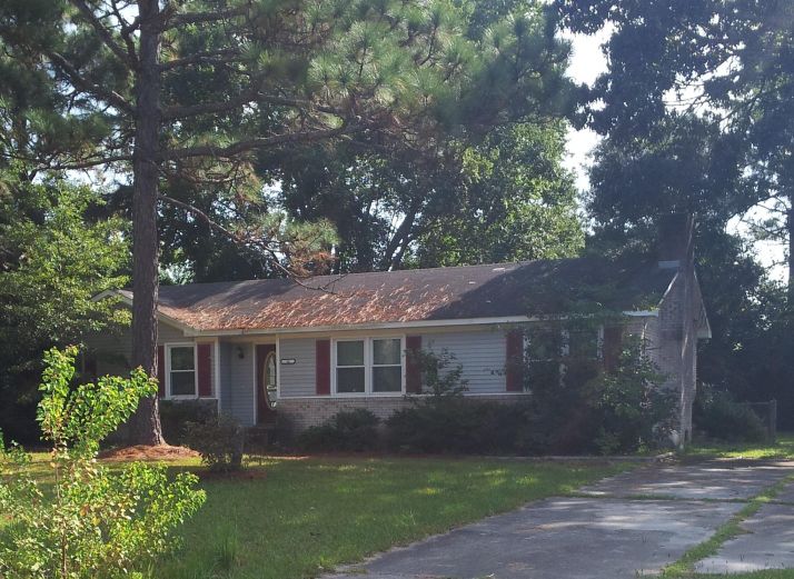 16 Logan Rd, Castle Hayne, NC 28429