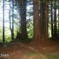 20820 Huckleberry Ln, Fort Bragg, CA 95437 ID:3592043