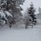 3380 S. Sunshade Dr, Salt Lake City, UT 84120 ID:4389883