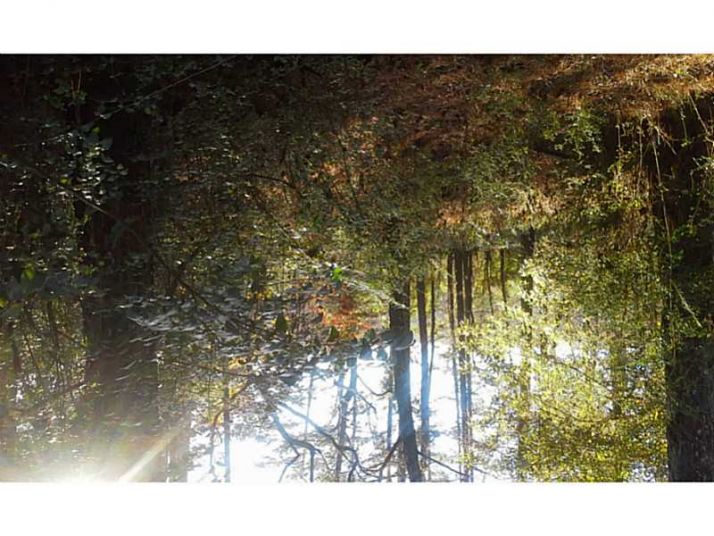 545 Collett Drive Lot 1 Wood Duck Landing, Canton, GA 30115