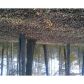 545 Collett Drive Lot 1 Wood Duck Landing, Canton, GA 30115 ID:2860189