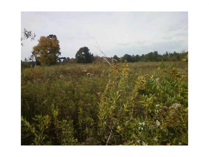 7945 A C Smith Road, Cumming, GA 30028