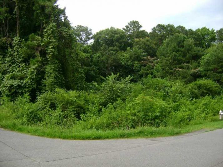0 Ivey Lane, Acworth, GA 30101