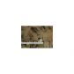 1449 Vaughn St Drive Se, Atlanta, GA 30317 ID:2862339