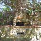 4419 73RD ST, Saint Petersburg, FL 33709 ID:1059408
