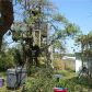 4419 73RD ST, Saint Petersburg, FL 33709 ID:1059410