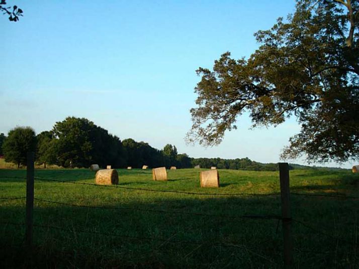 1800 Se Ammons Bridge Road E, Monroe, GA 30655