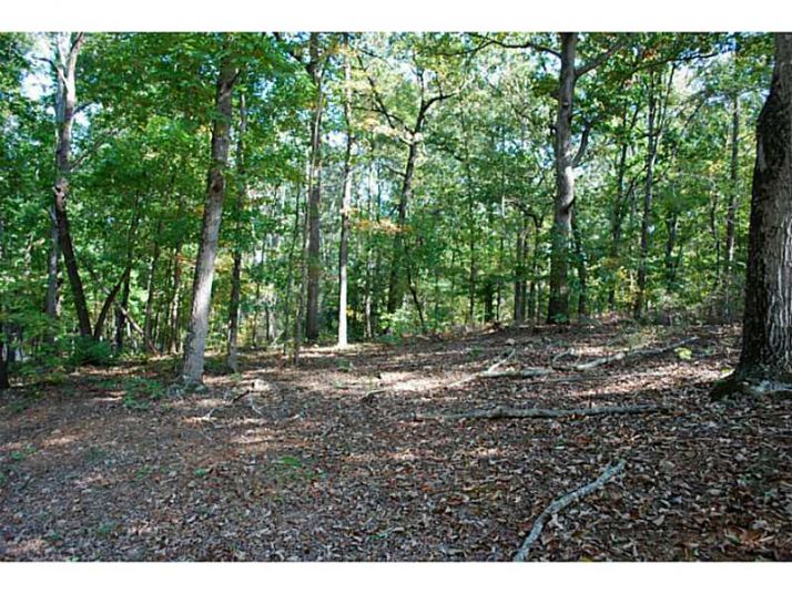 0 Ridge Creek Road, Nicholson, GA 30565