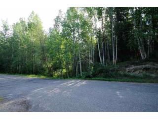 nhn Hillside Drive, Lot 2, Fairbanks, AK 99709