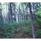 nhn Hillside Drive, Lot 2, Fairbanks, AK 99709 ID:1506920