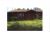301 BYRON STRUNK ROAD Pine Knot, KY 42635