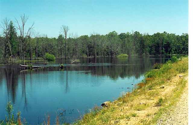 Lot 36-1 Paradise River Resort, Judsonia, AR 72081