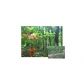 12 Smith, Dawsonville, GA 30534 ID:3366791