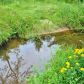 23419 22 Mile Rd, Paris, MI 49338 ID:1071880