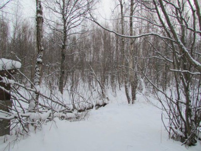 1100 W Fairview Loop, Wasilla, AK 99654