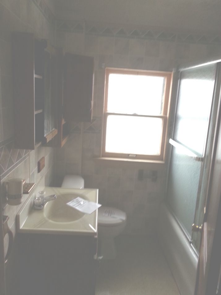 227 Bondie St, Wyandotte, MI 48192