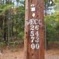 5 acres off Hwy 7, Louann, AR 71751 ID:1994112