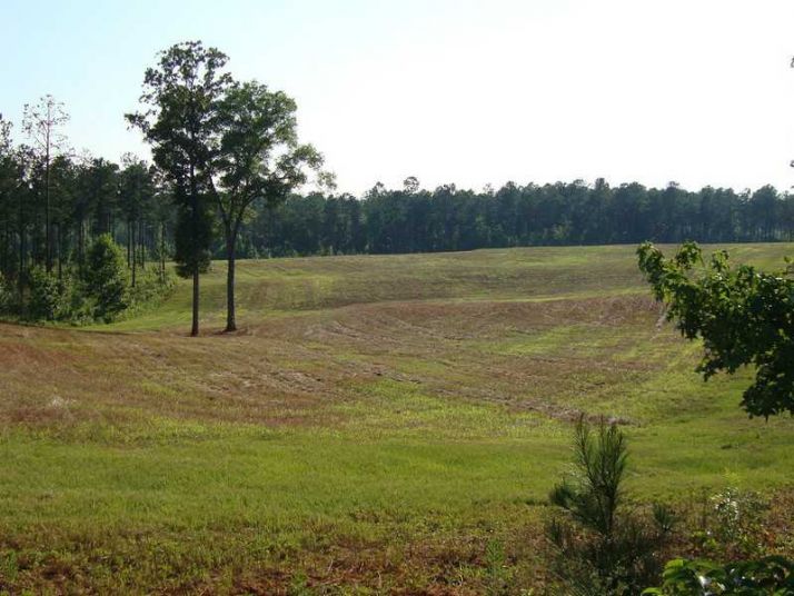 1539 Bear Creek Lot 11 Road, Moreland, GA 30259
