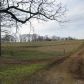 6255 Hulsey Road, Clermont, GA 30527 ID:4881029