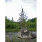 Lot 3 Cache Creek Recreational, Trapper Creek, AK 99683 ID:1083842