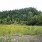 Lot 3 Cache Creek Recreational, Trapper Creek, AK 99683 ID:1083845