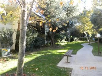 23515 Lyons Ave #141, Valencia, CA 91355