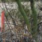 10600 E ESCALANTE, Tucson, AZ 85730 ID:1653673