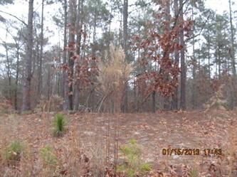 , Section 16 Forest Cr (Apn, Southern Pines, NC 28387