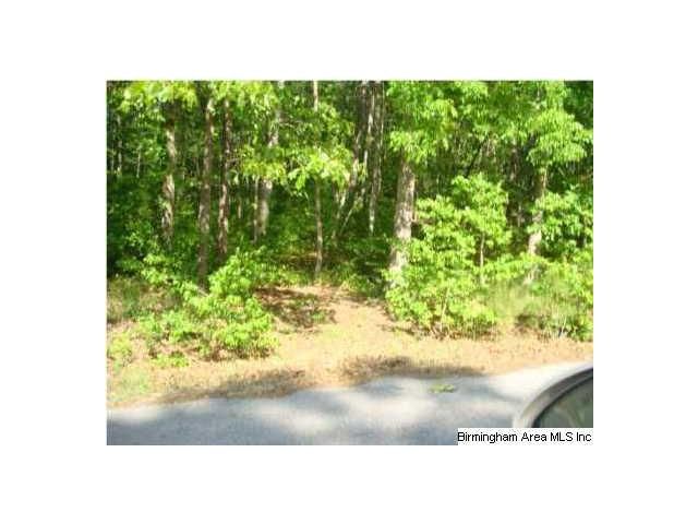 0 Lakeshore Dr, Ohatchee, AL 36271