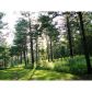 1539 Bear Creek Lot 7 Road, Moreland, GA 30259 ID:3448402
