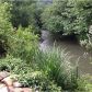 3349 Whitepath Road, Ellijay, GA 30540 ID:2615265
