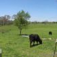 8705 Old Federal Road, Ball Ground, GA 30107 ID:2546642