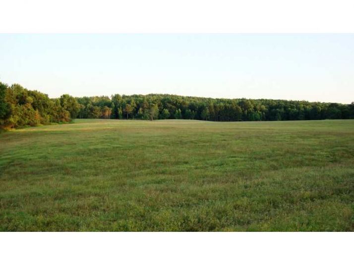 1539 Bear Creek Lot 8 Road, Moreland, GA 30259