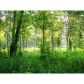 1539 Bear Creek Lot 8 Road, Moreland, GA 30259 ID:3343949