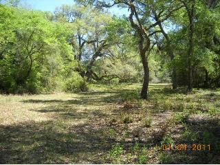Lot 12 NE 434 Street, Old Town, FL 32680