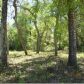 Lot 12 NE 434 Street, Old Town, FL 32680 ID:3998383