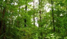 0 Jot Em Down Road Cumming, GA 30041