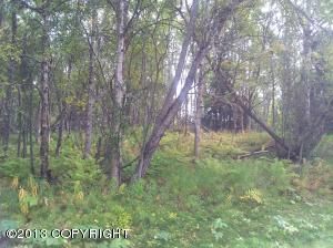 L15 B1 SIERRA MESA Circle, Chugiak, AK 99567